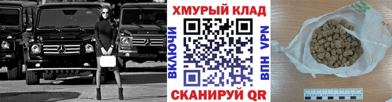 Героин хмурый  Пионерский 
