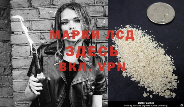 шишки Белокуриха
