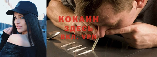 шишки Белокуриха