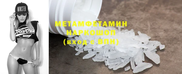 шишки Белокуриха