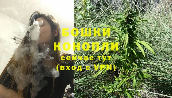 шишки Белокуриха