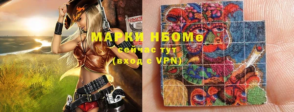 шишки Белокуриха