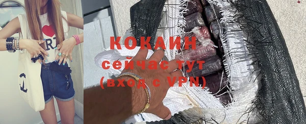 шишки Белокуриха