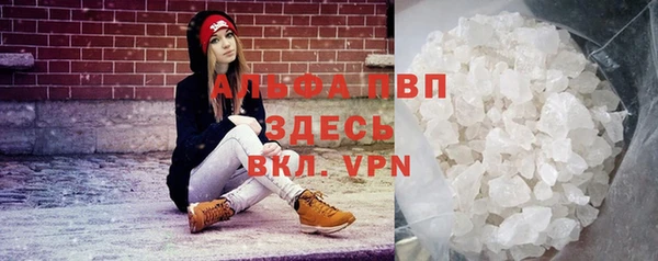 шишки Белокуриха