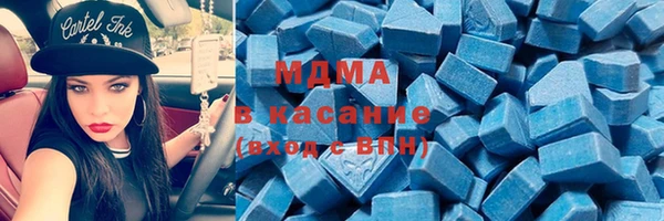 шишки Белокуриха