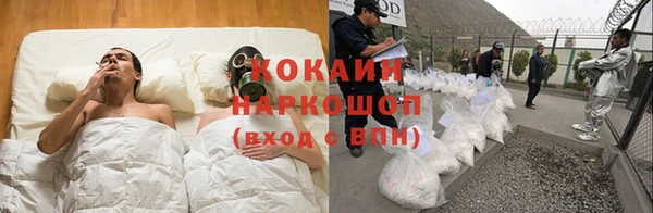 шишки Белокуриха
