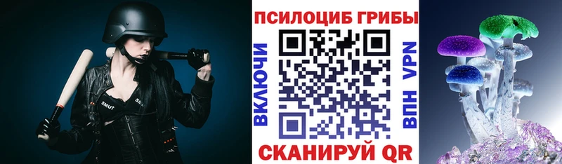 Псилоцибиновые грибы мухоморы  omg tor  Пионерский  магазин продажи наркотиков 